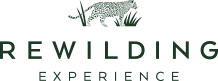 Rewilding Experience